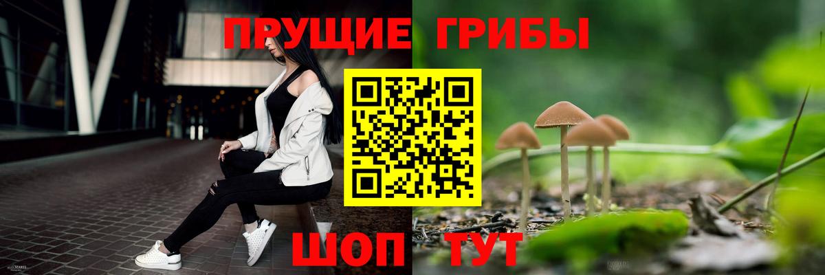 Псилоцибиновые грибы ЛСД  Вход с VPN  Псилоцибиновые грибы Psilocybe  Слободской 